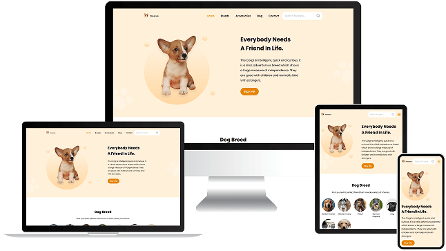 paw-store-figma-to-html